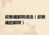 欲断魂解释词语（欲断魂的解释）