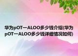 华为pOT一ALOO多少钱介绍(华为pOT一ALOO多少钱详细情况如何)