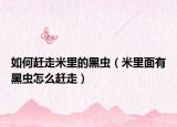 如何赶走米里的黑虫（米里面有黑虫怎么赶走）
