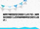 翡翠手镯里面雪花棉是什么样子的（翡翠雪花棉是什么意思翡翠墨翠雪花棉怎么描述）