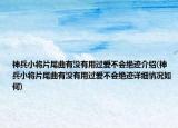 神兵小将片尾曲有没有用过爱不会绝迹介绍(神兵小将片尾曲有没有用过爱不会绝迹详细情况如何)