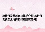 软件开发费怎么样摊销介绍(软件开发费怎么样摊销详细情况如何)