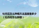 牡丹花怎么种植方法温度是多少（牡丹花怎么种植）