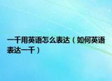 一千用英语怎么表达（如何英语表达一千）