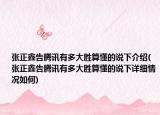张正鑫告腾讯有多大胜算懂的说下介绍(张正鑫告腾讯有多大胜算懂的说下详细情况如何)