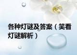 各种灯谜及答案（笑看灯谜解析）