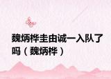 魏炳桦圭由诚一入队了吗（魏炳桦）