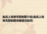 血战上海滩无敌秘籍介绍(血战上海滩无敌秘籍详细情况如何)