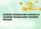青山黛玛除了留在我身边还有什么好听的歌介绍(青山黛玛除了留在我身边还有什么好听的歌详细情况如何)