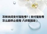怎样关闭支付宝账号?（支付宝账号怎么能停止使用 六步就搞定）