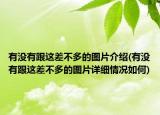 有没有跟这差不多的图片介绍(有没有跟这差不多的图片详细情况如何)