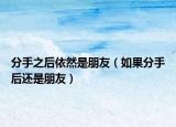 分手之后依然是朋友（如果分手后还是朋友）