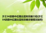 沙王SK的前中后期出装和攻略介绍(沙王SK的前中后期出装和攻略详细情况如何)