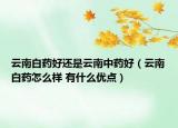 云南白药好还是云南中药好（云南白药怎么样 有什么优点）