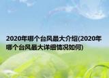 2020年哪个台风最大介绍(2020年哪个台风最大详细情况如何)