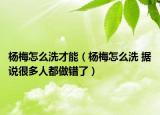 杨梅怎么洗才能（杨梅怎么洗 据说很多人都做错了）