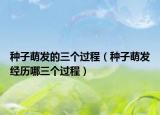 种子萌发的三个过程（种子萌发经历哪三个过程）