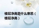 楼层净高是什么意思（楼层净高）