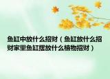 鱼缸中放什么招财（鱼缸放什么招财家里鱼缸摆放什么植物招财）