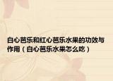 白心芭乐和红心芭乐水果的功效与作用（白心芭乐水果怎么吃）