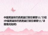 中国男篮和巴西男篮打架在哪里\