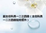 副主任科员一二三四级（主任科员一二三四级如何晋升）