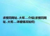 求搜同网址..大哥....介绍(求搜同网址..大哥....详细情况如何)