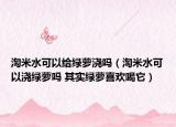 淘米水可以给绿萝浇吗（淘米水可以浇绿萝吗 其实绿萝喜欢喝它）