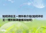 如何评价王一博外貌介绍(如何评价王一博外貌详细情况如何)