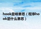 hook是啥意思（程序hook是什么意思）