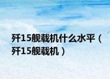 歼15舰载机什么水平（歼15舰载机）