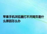 苹果手机浏览器打不开网页是什么原因怎么办