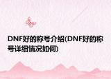 DNF好的称号介绍(DNF好的称号详细情况如何)