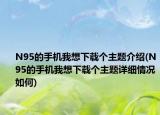 N95的手机我想下载个主题介绍(N95的手机我想下载个主题详细情况如何)