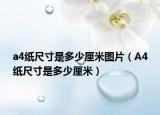 a4纸尺寸是多少厘米图片（A4纸尺寸是多少厘米）