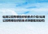 仙湖公园有哪些好的景点介绍(仙湖公园有哪些好的景点详细情况如何)