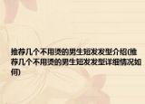 推荐几个不用烫的男生短发发型介绍(推荐几个不用烫的男生短发发型详细情况如何)