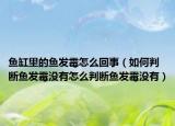 鱼缸里的鱼发霉怎么回事（如何判断鱼发霉没有怎么判断鱼发霉没有）