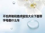 不怕奔驰和路虎就怕大众下面带字母是什么车