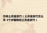 怎样土养富贵竹（土养富贵竹怎么养 3个步骤教你土养富贵竹）