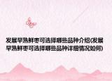发展早熟鲜枣可选择哪些品种介绍(发展早熟鲜枣可选择哪些品种详细情况如何)
