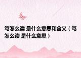 笃怎么读 是什么意思和含义（笃怎么读 是什么意思）