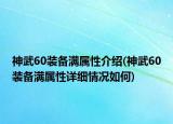 神武60装备满属性介绍(神武60装备满属性详细情况如何)