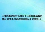 三亚凤凰岛有什么景点（三亚凤凰岛著名景点 此生不可错过的凤凰岛十大美景!）