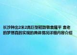 长沙种出2米2高巨型稻致敬袁隆平 袁老的梦想真的实现的具体情况详细内容介绍