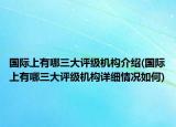 国际上有哪三大评级机构介绍(国际上有哪三大评级机构详细情况如何)