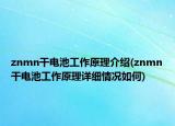 znmn干电池工作原理介绍(znmn干电池工作原理详细情况如何)