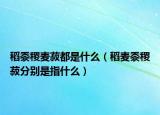 稻黍稷麦菽都是什么（稻麦黍稷菽分别是指什么）