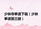 少林寺拳谱下载（少林拳谱第三册）
