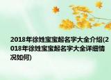 2018年徐姓宝宝起名字大全介绍(2018年徐姓宝宝起名字大全详细情况如何)